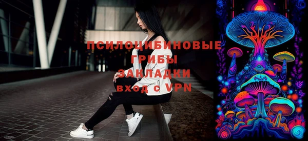 прущая мука Верея