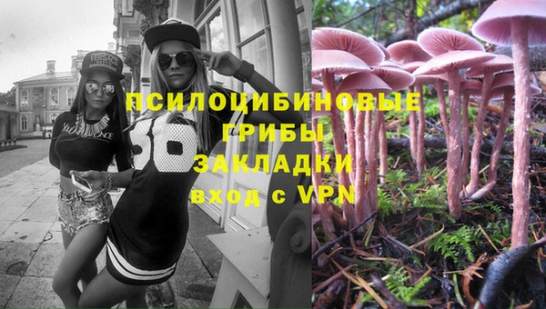 прущая мука Верея