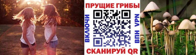 Галлюциногенные грибы ЛСД Иваново